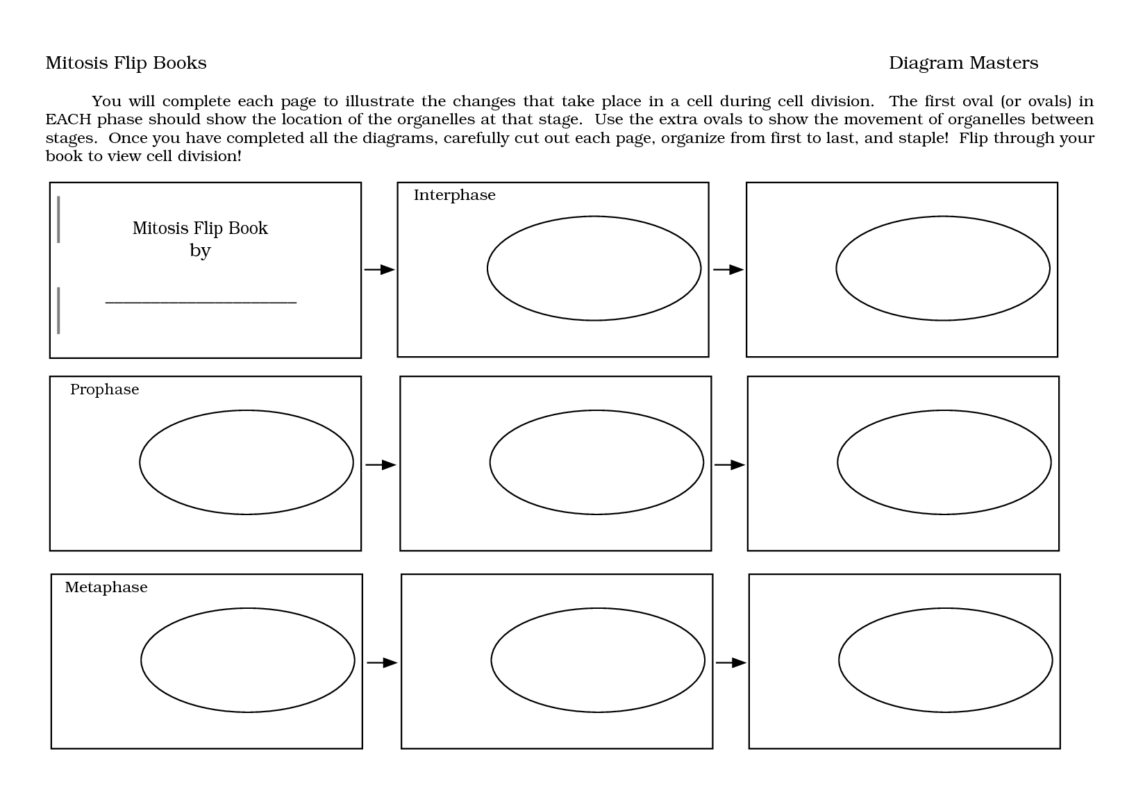 Mitosis Flip Book Answers Diagram Masters Diagram Resource Gallery